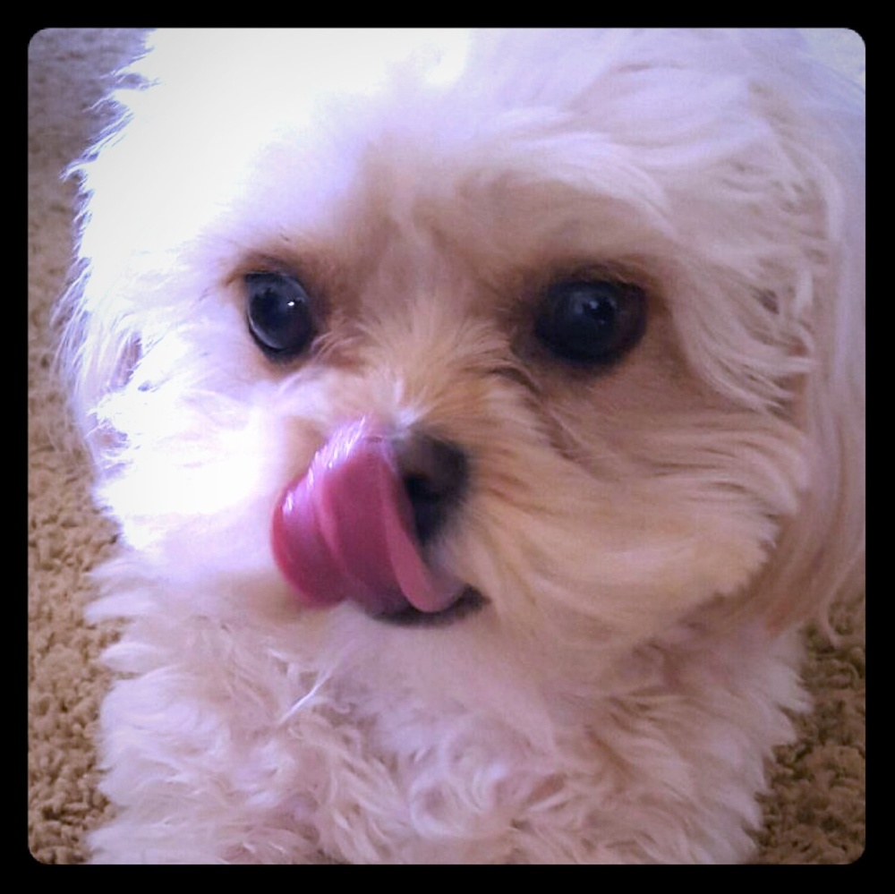 ***These are my, "furbabies!"***